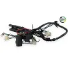 Faisceau electrique KYMCO AGILITY 50 2008 - 2017
