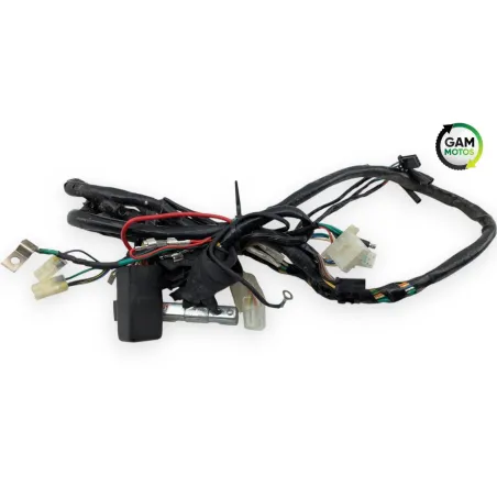Faisceau electrique KYMCO AGILITY 50 2008 - 2017