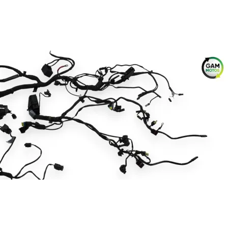 Faisceau electrique BMW R 1200 NINET ABS 2014 - 2023