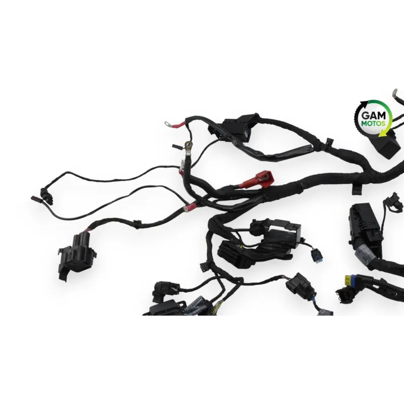 Faisceau electrique BMW R 1200 NINET ABS 2014 - 2023