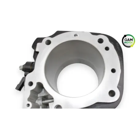 Piston cylindre BMW R 1200 NINET ABS 2014 - 2023