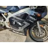 SUZUKI RGV 250