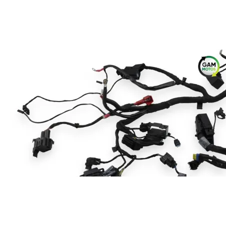 Faisceau electrique BMW R 1200 NINET ABS 2014 - 2023