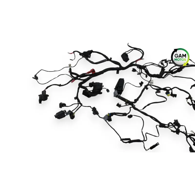Faisceau electrique BMW R 1200 NINET ABS 2014 - 2023