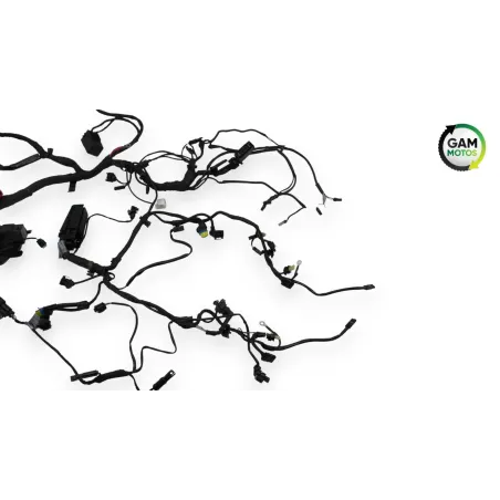 Faisceau electrique BMW R 1200 NINET ABS 2014 - 2023