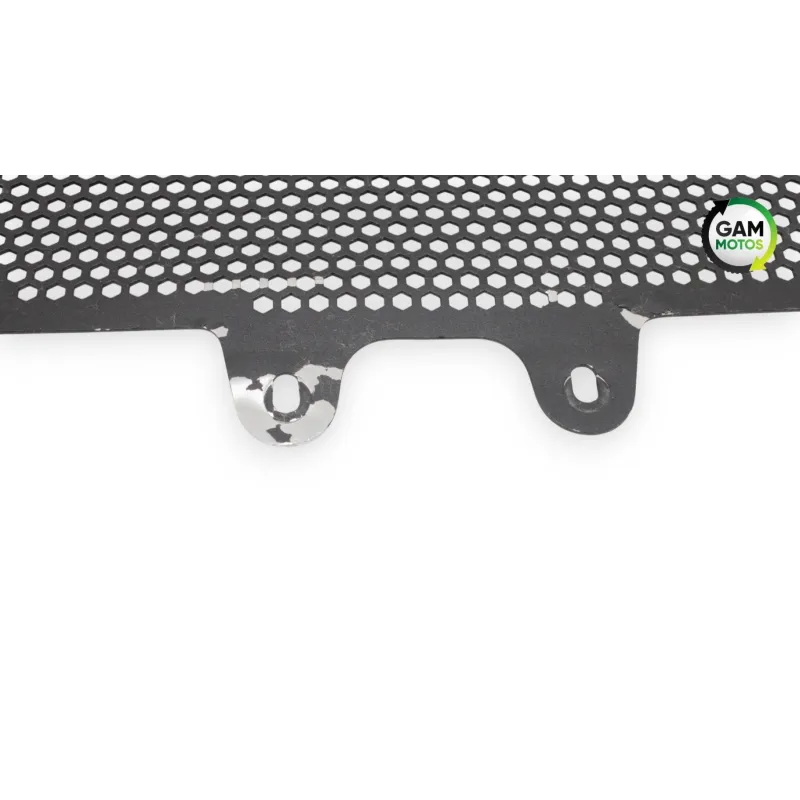 Grille de radiateur BMW R 1200 NINET ABS 2014 - 2023