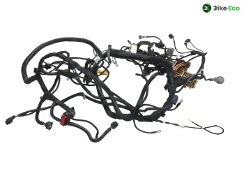 Faisceau electrique RENAULT TWIZY