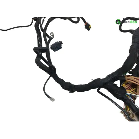 Faisceau electrique RENAULT TWIZY