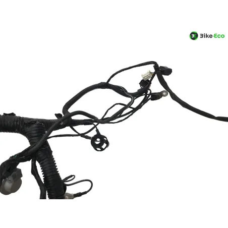 Faisceau electrique RENAULT TWIZY