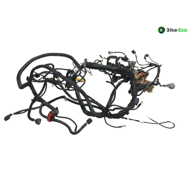 Faisceau electrique RENAULT TWIZY