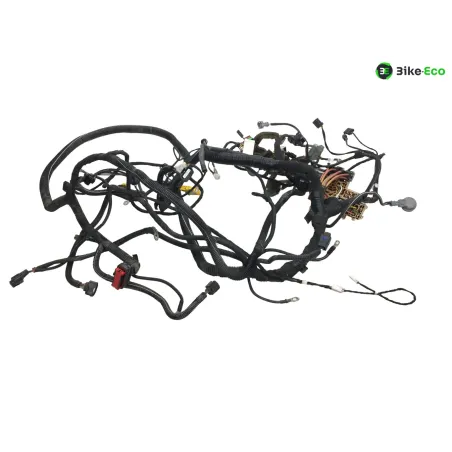 Faisceau electrique RENAULT TWIZY