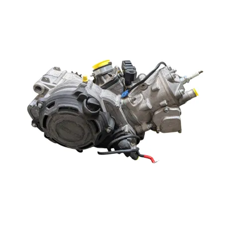 Moteur KTM EXC 300 2023 - 2024