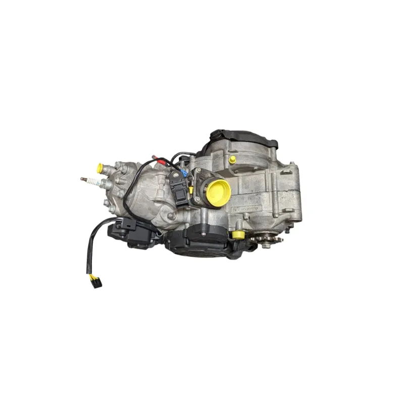 Moteur KTM EXC 300 2023 - 2024
