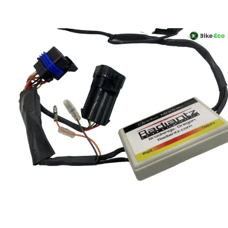 Bloc feu + clignotants INDIAN SCOUT 1133 2015-2024