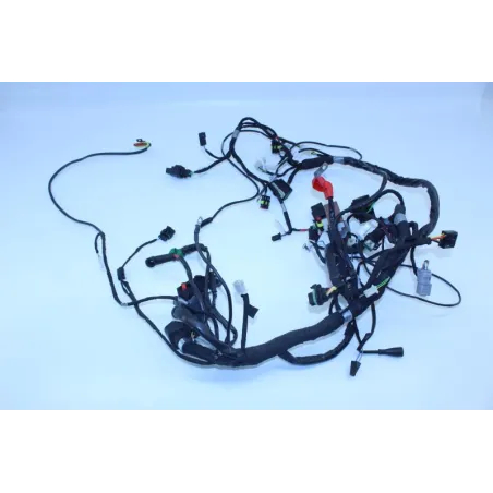 Faisceau electrique APRILIA TUONO 125 2017 - 2020