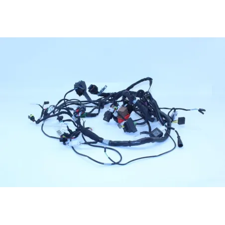 Faisceau electrique APRILIA TUONO 125 2017 - 2020