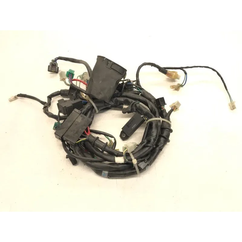 Faisceau electrique KYMCO DINK 125 2006-2007 EURO 3