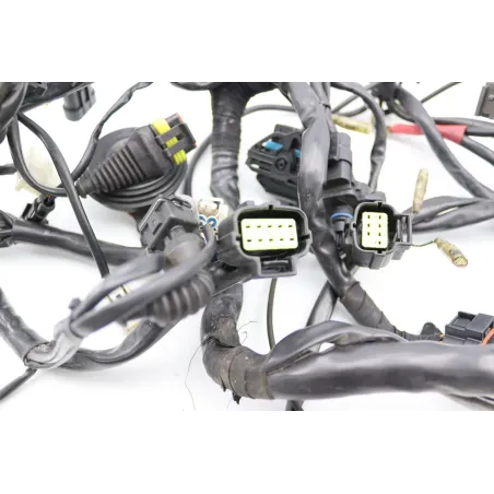 Faisceau electrique DUCATI MONSTER 996 S4R 2003 - 2006