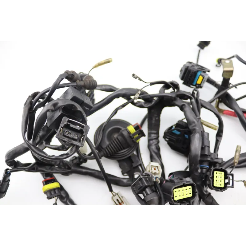 Faisceau electrique DUCATI MONSTER 996 S4R 2003 - 2006