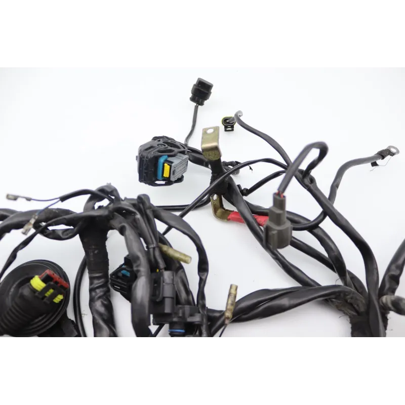 Faisceau electrique DUCATI MONSTER 996 S4R 2003 - 2006