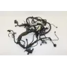 Faisceau electrique KAWASAKI ER6 650 F 2009 - 2011