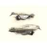 Clignotants arriere KYMCO DINK 125 2006-2007 EURO 3 Clignotants arriere KYMCO DINK 125 2006-2007 EURO 3
