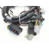 Faisceau electrique KYMCO DINK 125 2006-2007 EURO 3
