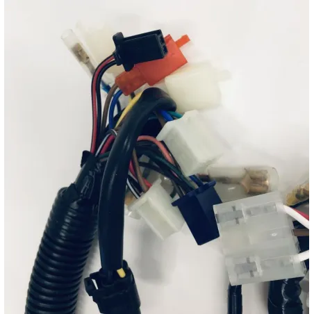 Faisceau electrique YAMAHA YBR 125 2005-2006