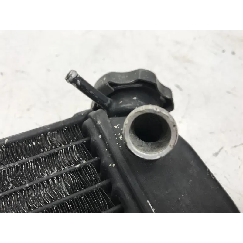 Radiateur eau YAMAHA TDR 125 1993-1996