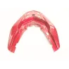 Cache carenage coque arriere HONDA PCX 125 2019-2020 Cache carenage coque arriere HONDA PCX 125 2019-2020