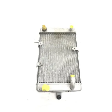 Radiateur eau SUZUKI AN 400 2003-2006 BURGMAN