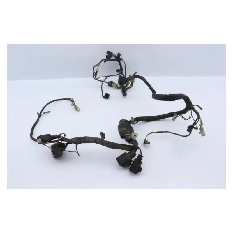 Faisceau electrique YAMAHA TDM 850 1991 - 1995