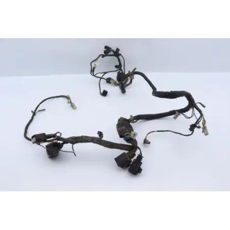 Faisceau electrique YAMAHA TDM 850 1991 - 1995