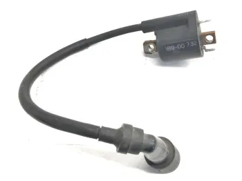 Bobine allumage YAMAHA YPR 125 2006-2009 XMAX