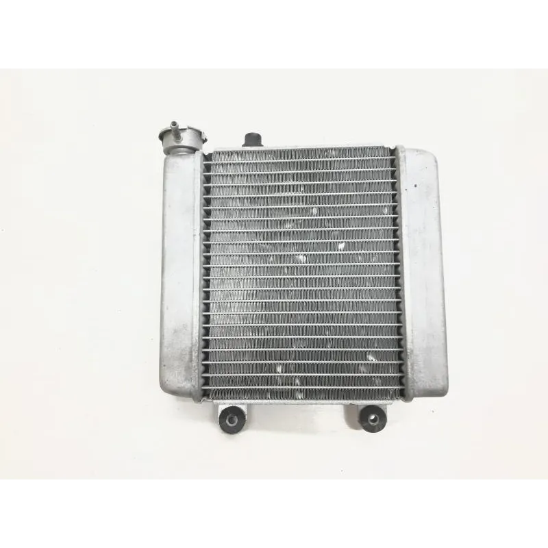 Radiateur eau HONDA FES 125 2007-2013 S-WING