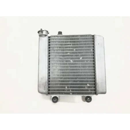 Radiateur eau HONDA FES 125 2007-2013 S-WING