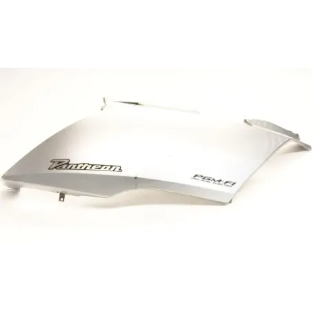 Cache carenage coque arriere droit HONDA FES 125 2003-2006 PANTHEON