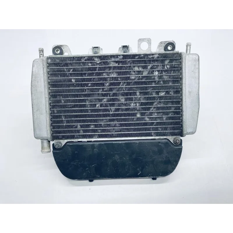 Radiateur eau PIAGGIO X9 EVO 125 2003-2007