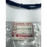 Cable de starter KAWASAKI ZZR 600 1999-2006