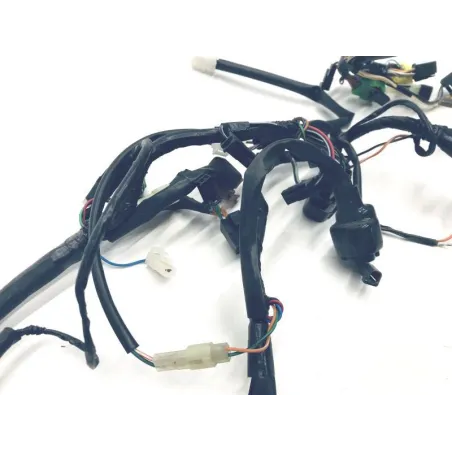 Faisceau electrique SUZUKI GS 500 E 2001-2002