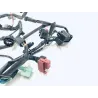 Faisceau electrique SUZUKI GS 500 E 2001-2002