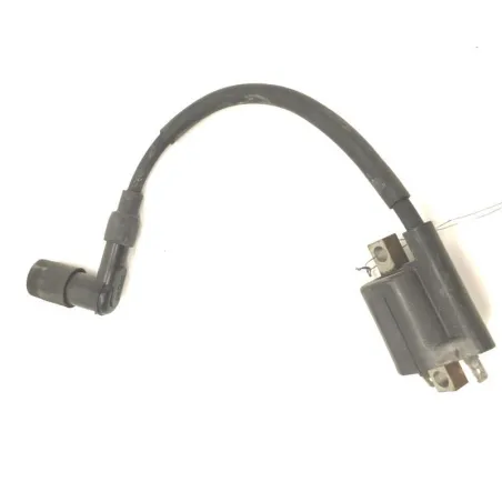 Bobine allumage YAMAHA YPR 250 2007-2009 XMAX