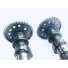 Arbres à cames HONDA CBR 600 F 2001-2003 Arbres à cames HONDA CBR 600 F 2001-2003
