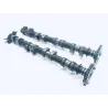 Arbres à cames HONDA CBR 600 F 2001-2003 Arbres à cames HONDA CBR 600 F 2001-2003