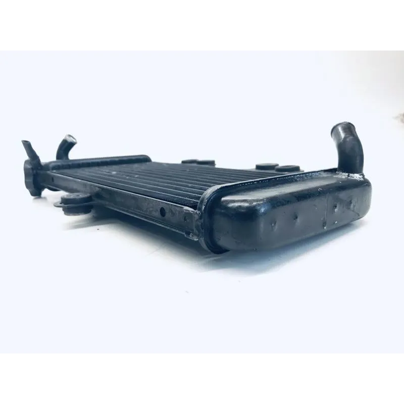Radiateur eau YAMAHA TDR 125 1997-2003