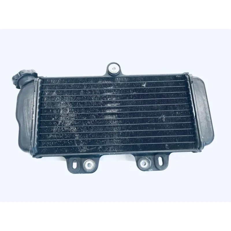 Radiateur eau YAMAHA TDR 125 1997-2003
