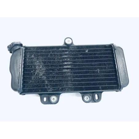 Radiateur eau YAMAHA TDR 125 1997-2003