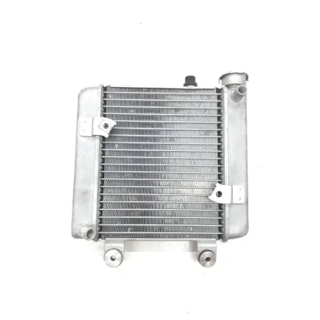 Radiateur eau HONDA FES 125 2007-2013 S-WING