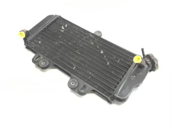 Radiateur eau YAMAHA TDR 125 1997-2003