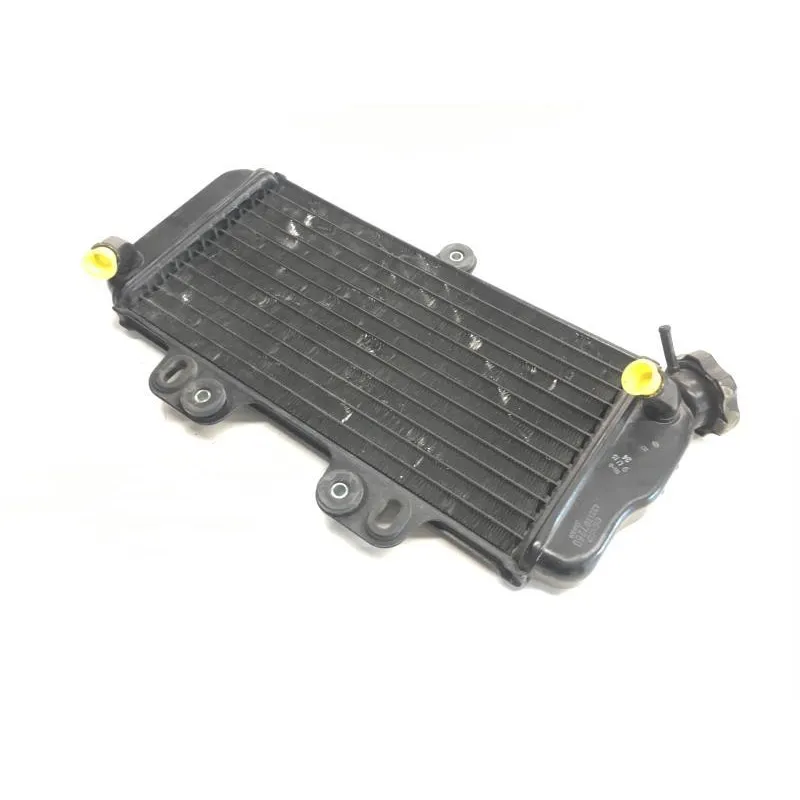 Radiateur eau YAMAHA TDR 125 1997-2003